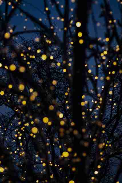 觅圈官方版体验分享：社群运营快报