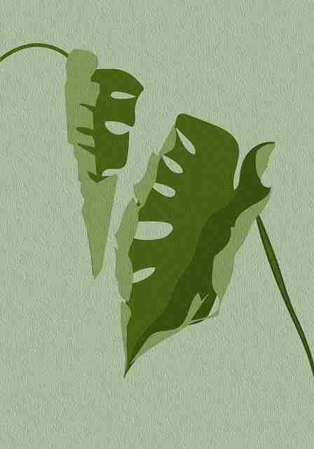 突发爆料：每日大赛91引起热议