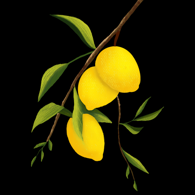 海角app用户口碑重大更新17条内幕福利满满