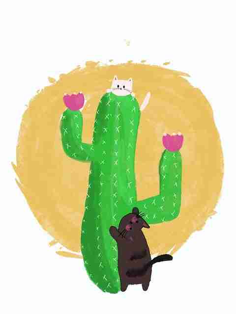 新瓜出炉:每日大赛吃瓜疑点重重引发猜测