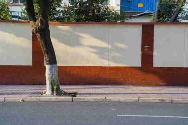 热搜事件!新手向每日大赛黑料最佳观赛指南