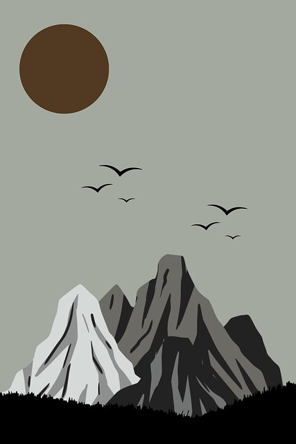 年度最热事件:每日大赛51疑点重重引发猜测