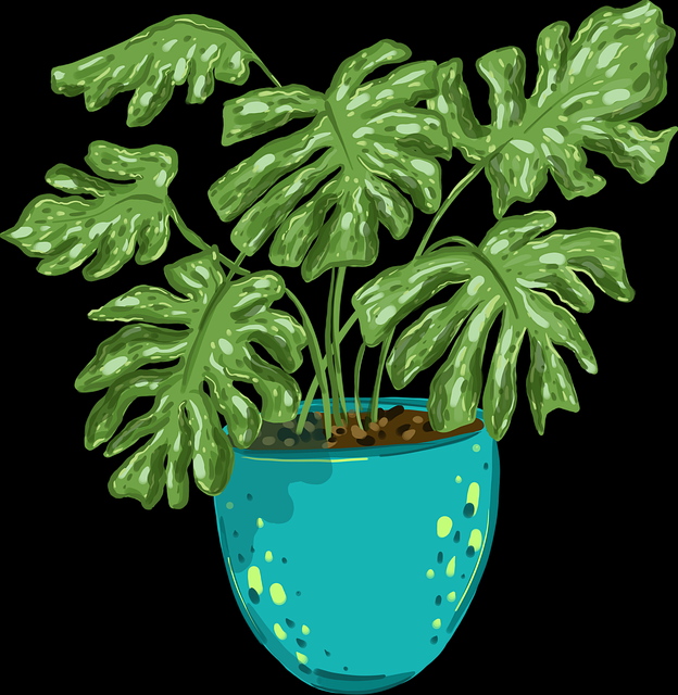 爆点合集！选手专访每日大赛吃瓜赛场新秀